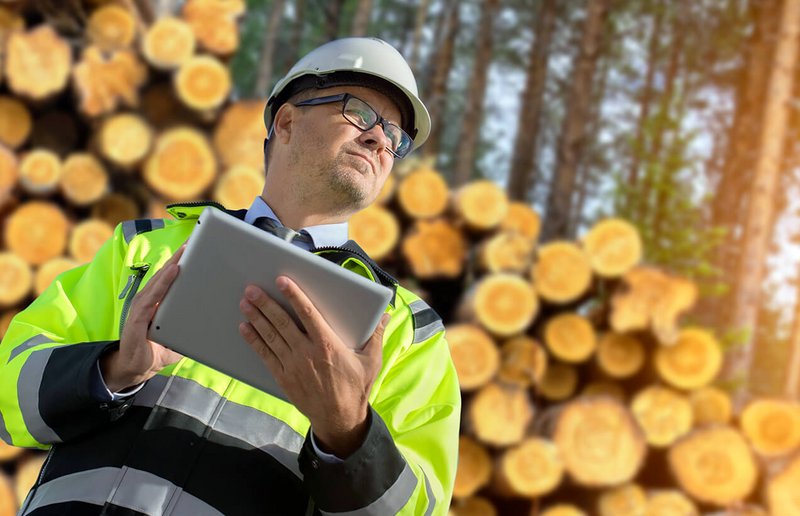 WebGIS-Software: Mobile Geodatenerfassung mit Tablet im professionellen Einsatz