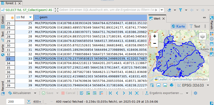 Ergebnis des Zusammenfassens mit ST_Collect() im DBeaver